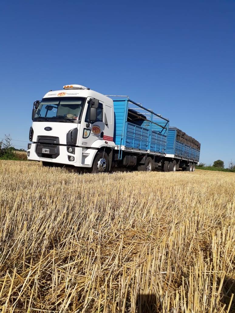 Camión de Transporte PETI cargado, en ruta por la región centro del país